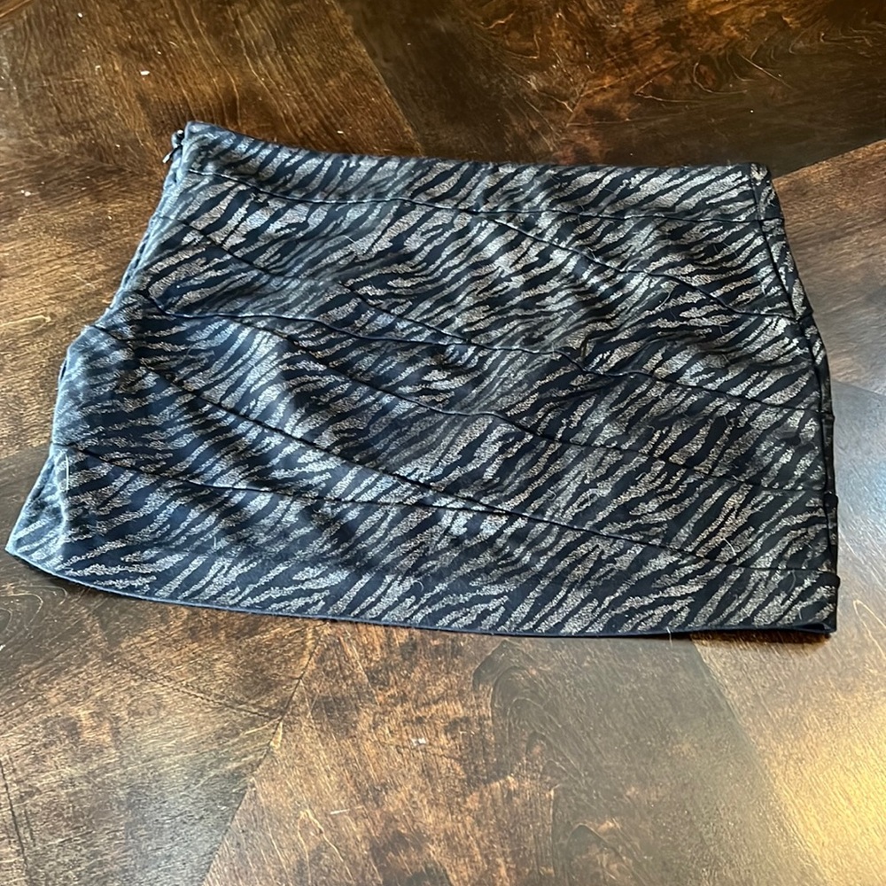 Express Mini Skirt